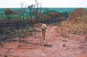 Pampas deer01-01
